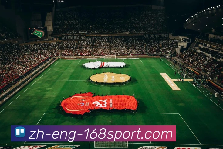 168体育官网APP 封面图